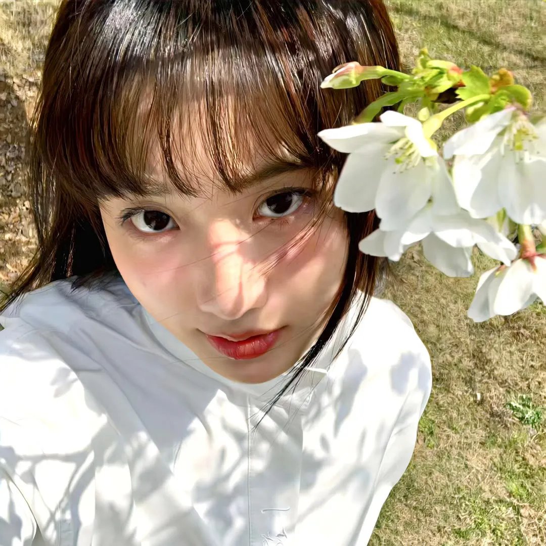 歌坛惊梦